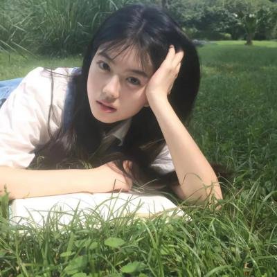 美国鼠谭2:西部历险记